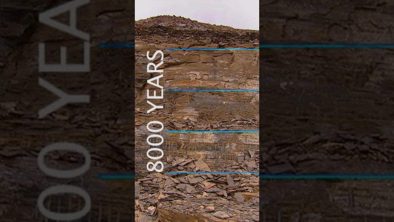 Fossilized Sea Creatures Found on Mountains 🐟