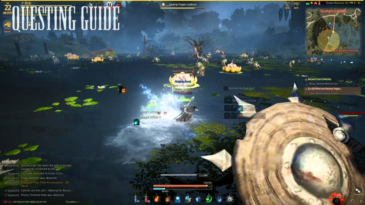 Black Desert What are Swamp Fogans