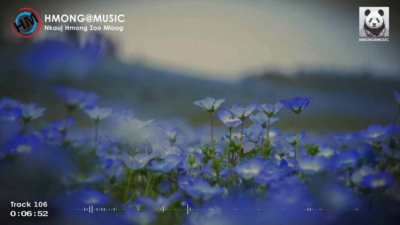 เพลงม้งเพราะๆ (106) HMONG@MUSIC