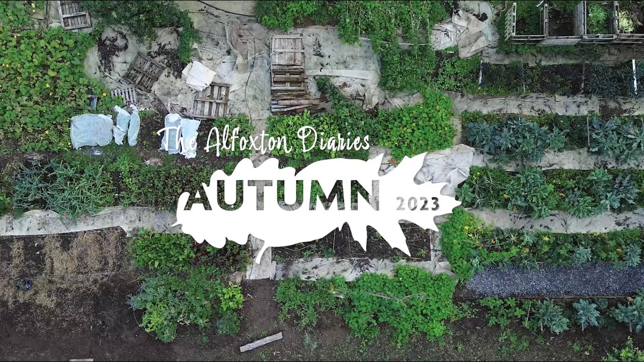 The Alfoxton Diaries - Autumn 2023