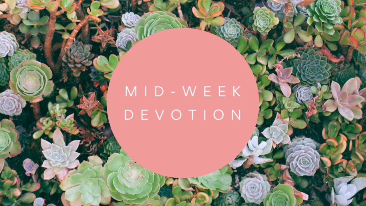 Midweek Devotion February 19, 2026