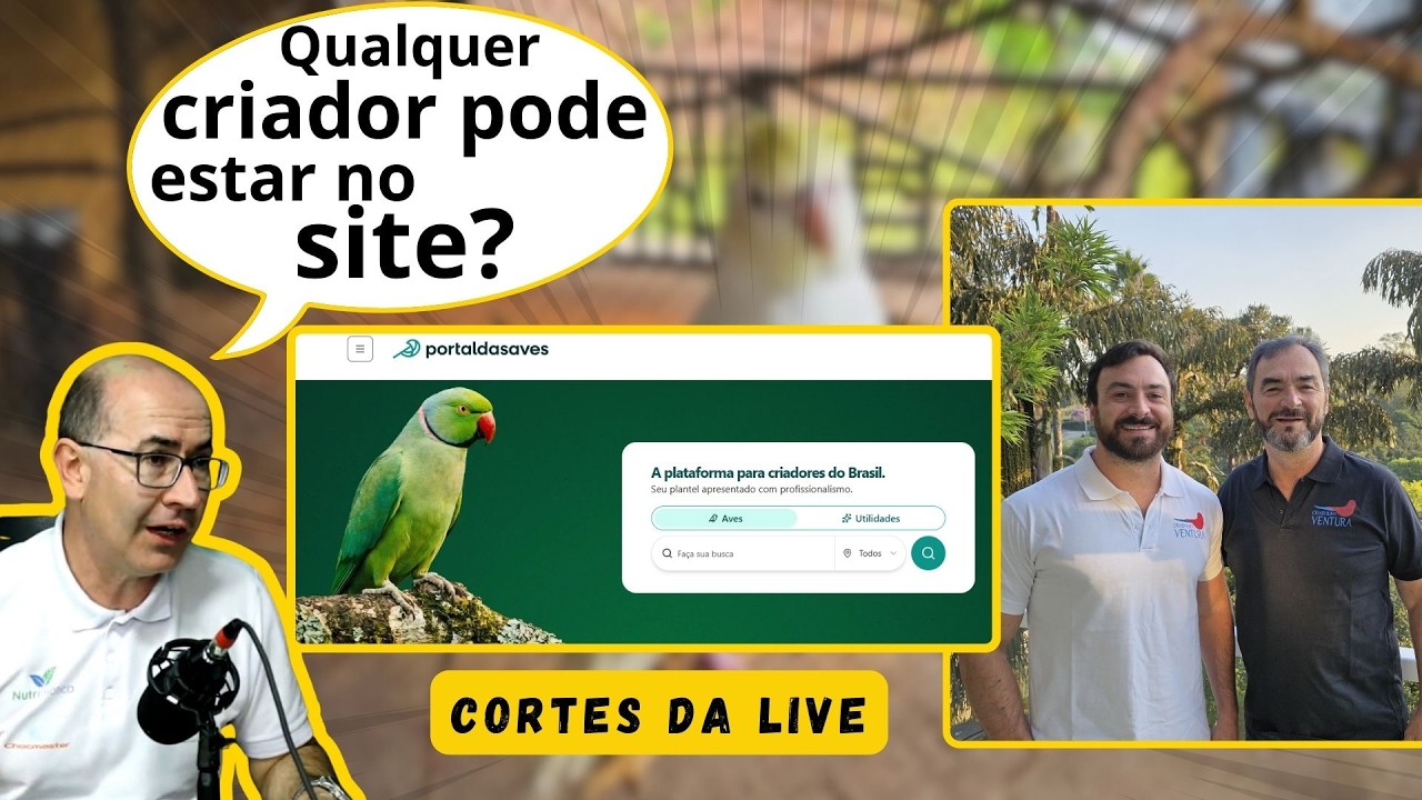 QUE NOVIDADE INTERESSANTE!!!VAI AJUDAR MUITO os CRIADORES!!!