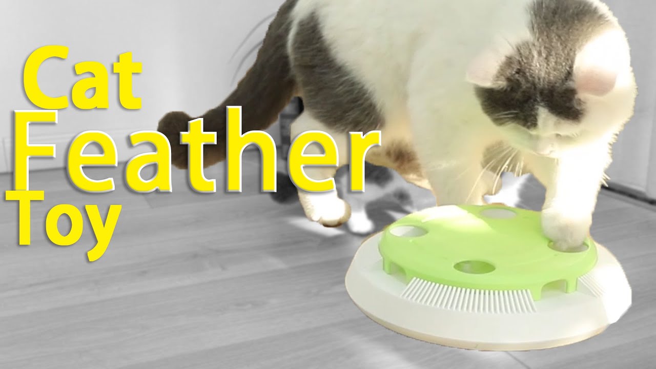Cat Curiosity Things : A Electronic Kitty Teaser Feather Toy