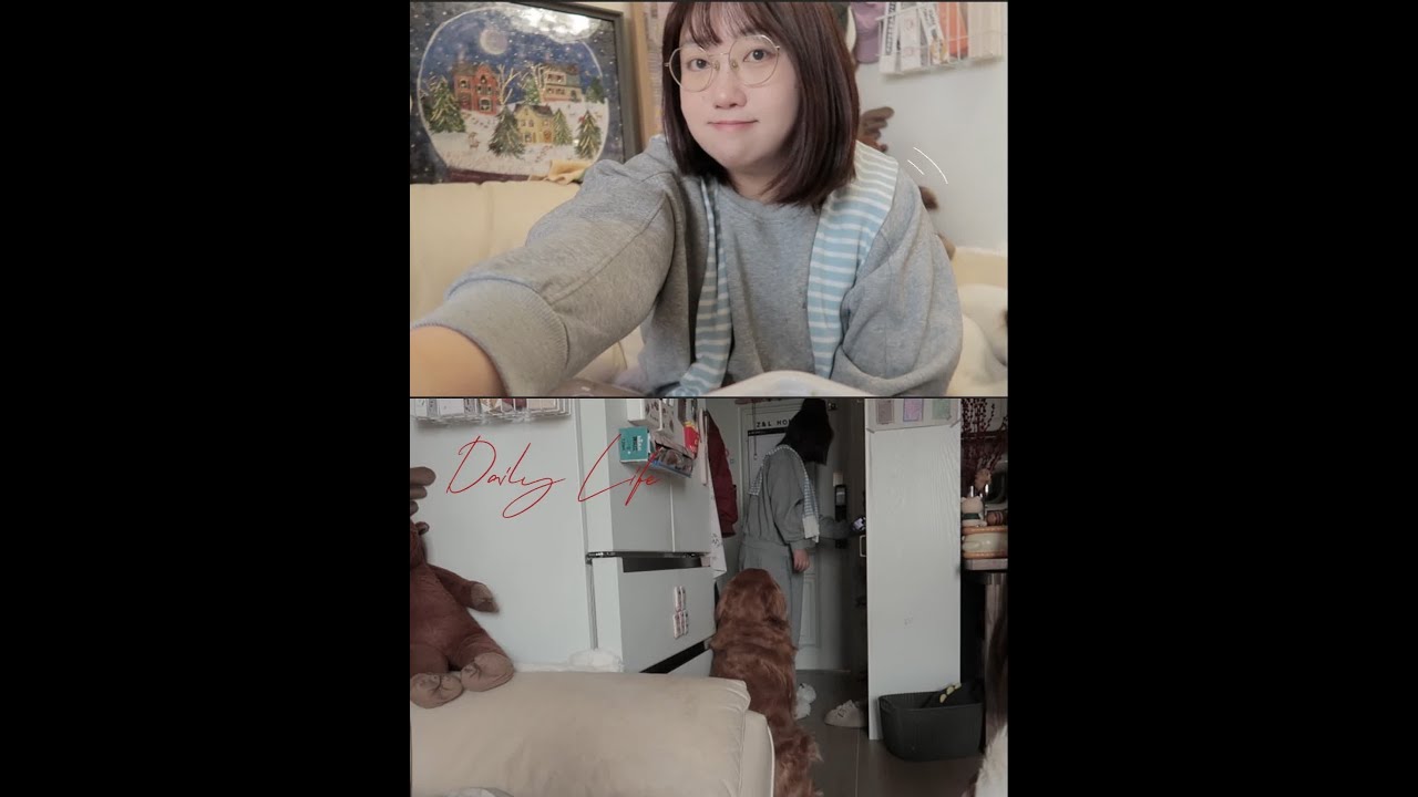 Vlog.
