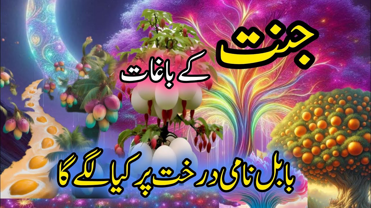 Jannat k bagaat  | paradise garden 