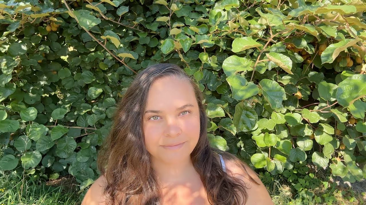 primeros pasos para construir la compostera perfecta