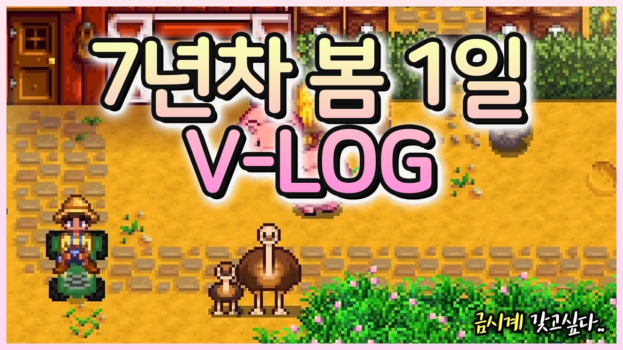 지칠 때 보면 더 지치는 영상 (feat. 금시계)
