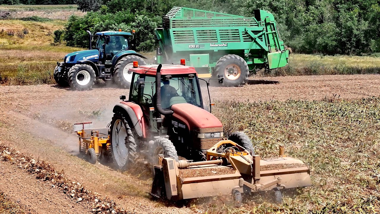 New Holland M135 - T6.175 | Mazzotti | Bianchi | BOTTINI FARM