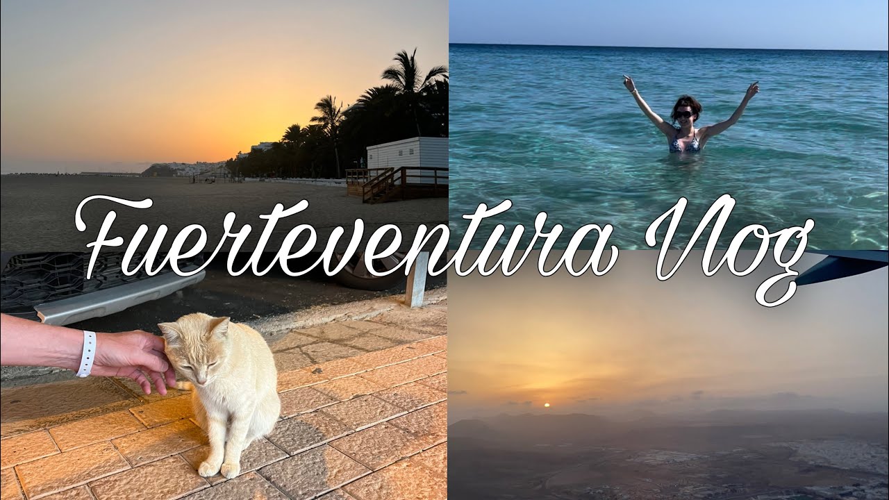 fuerteventura vlog: beach days and lots of cats