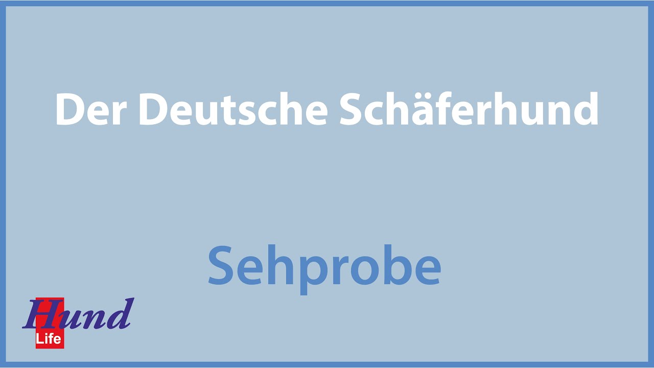 Hundeerziehung und Hundeausbildung