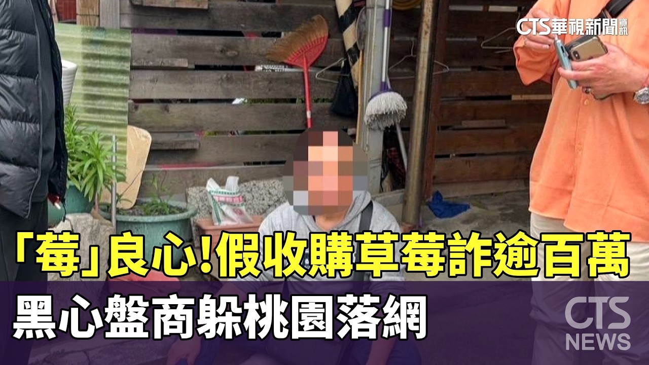 「莓」良心！假收購草莓詐逾百萬　黑心盤商躲桃園落網｜華視新聞 20260302 @CtsTw