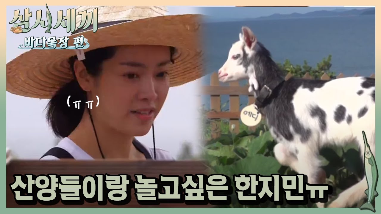 ′귀여워~′ 한지민, 잭슨 패밀리에 반했음메~ㅣ#삼시세끼바다목장편 170811 EP.2 #01