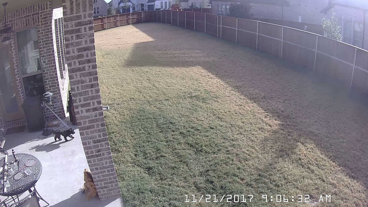 Pool Construction Timelapse
