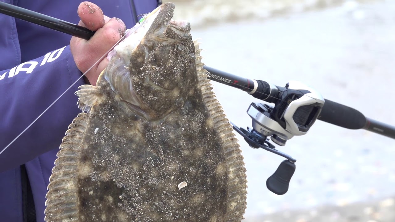 Pesca de Lenguados #VlogDePesca - 07