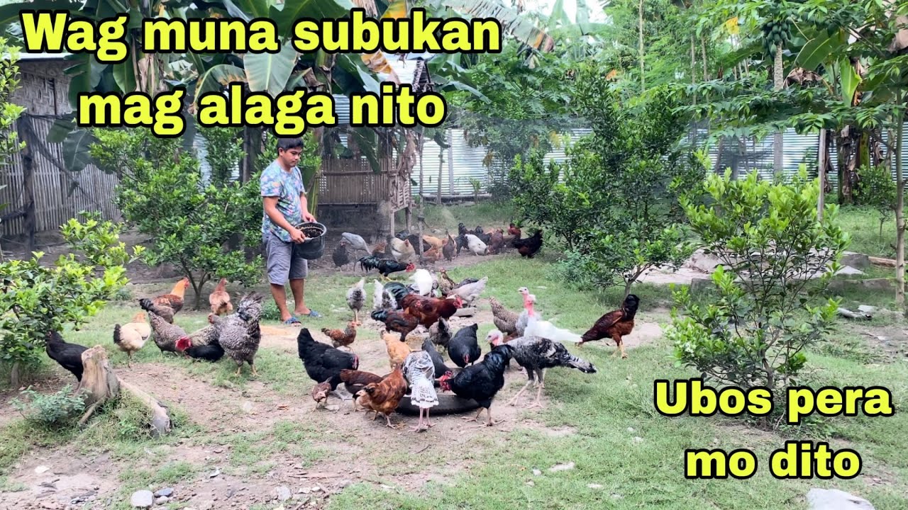 WAG MUNA SUBOKAN MAG ALAGA NITO MAUUBOS PERA MO DITO | GLAN SARANGANI PROVINCE