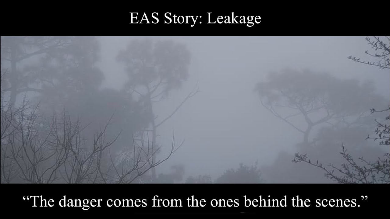 EAS Story: Leakage