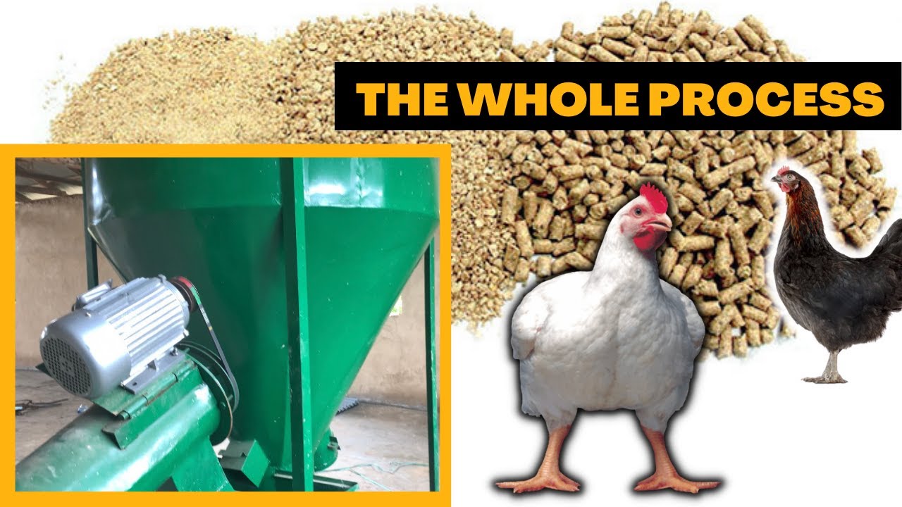 How Poultry Feed Milling is Done | Poultry Feed Formulation