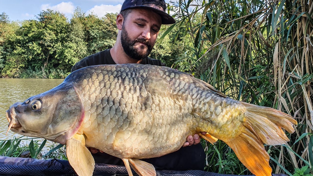 Crapi URIASI | Dyno Lake | Dinozari la partide scurte