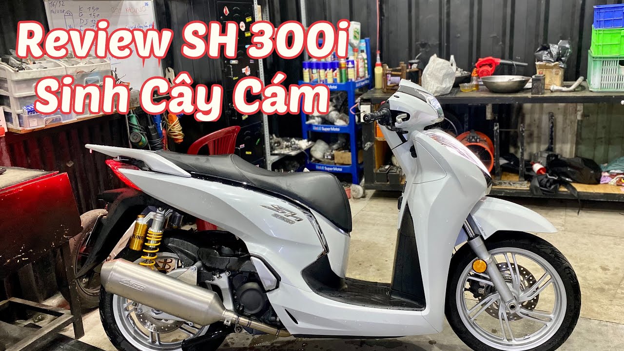 Sinh Cây Cám Review SH 300i Của Mình Và Những Thắc Mắc AE Chơi 300i 350i Thường Gặp