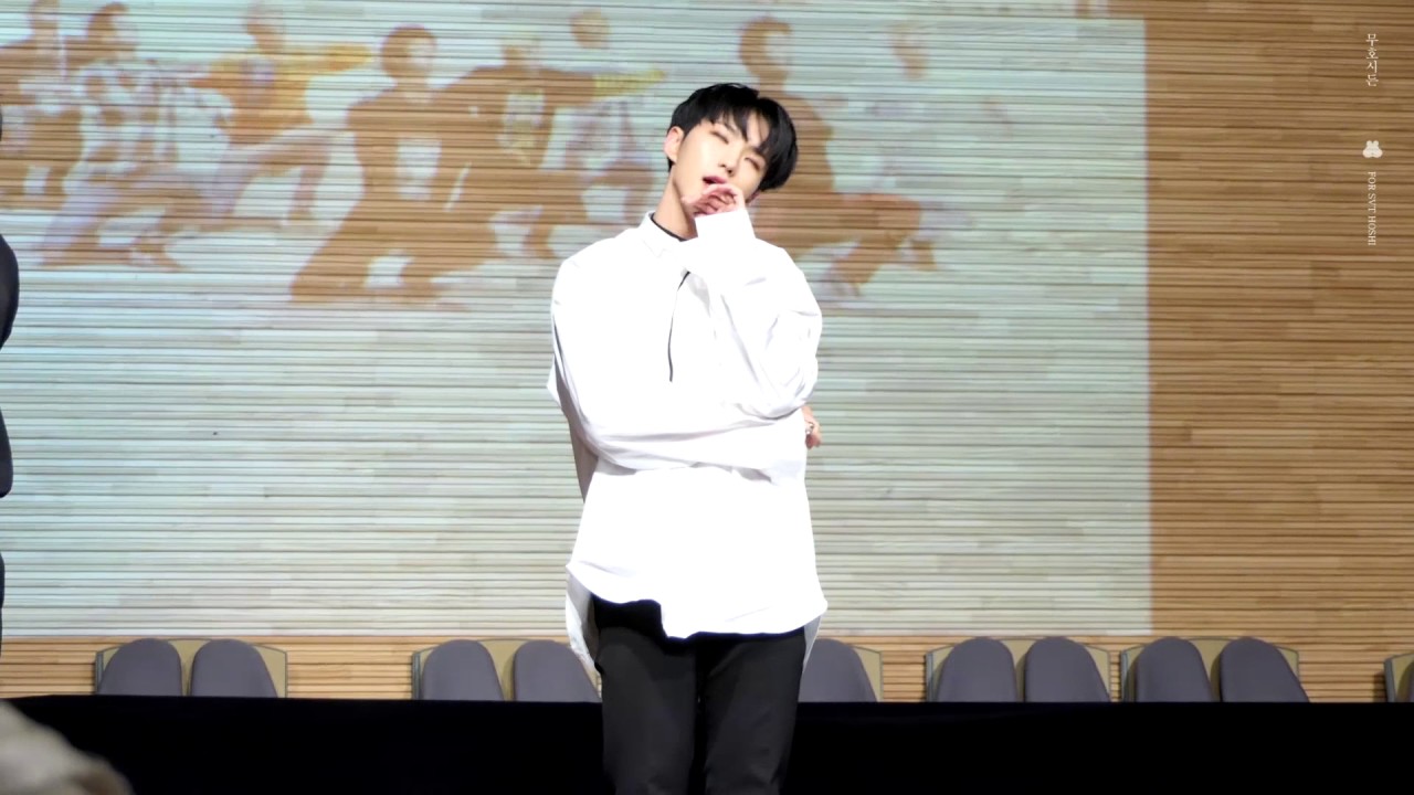 170617 용산 팬싸 퍼포팀 WHO (호시 cut)