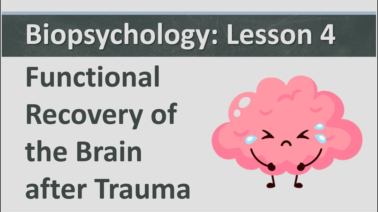 Biopsychology: Lesson 4 - Functional Recovery of the Brain after Trauma