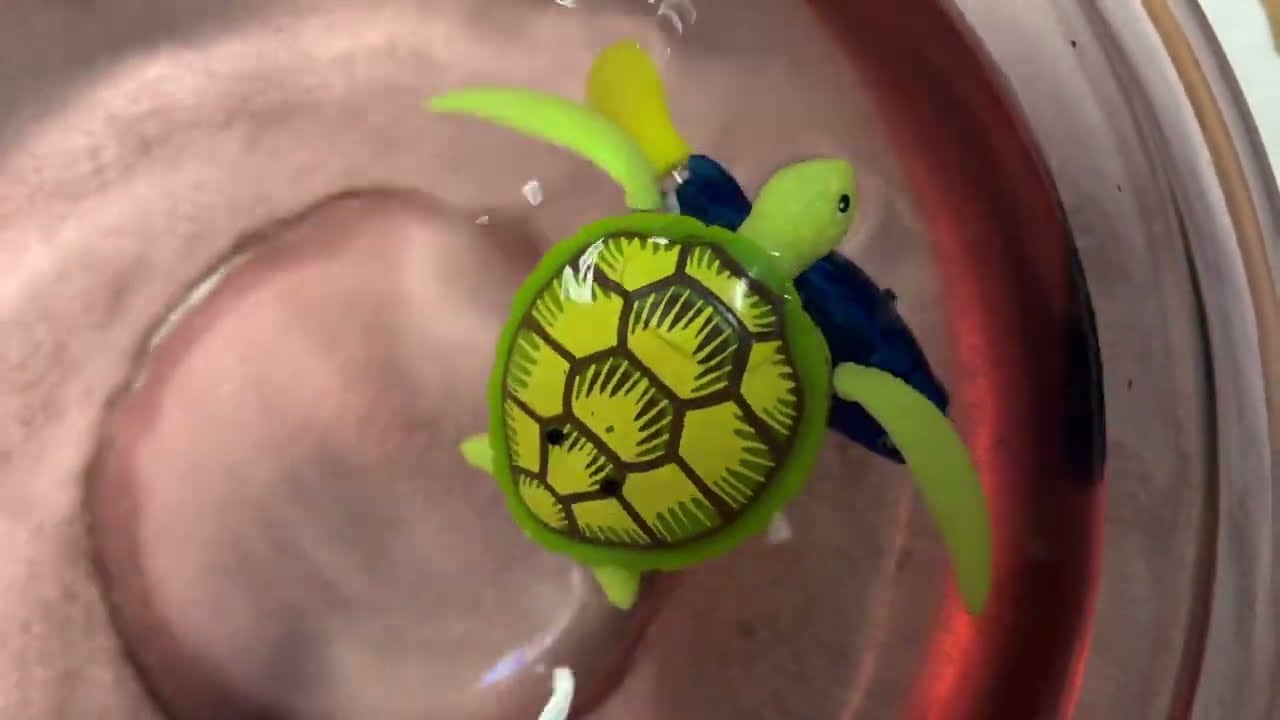 Zuru Robo Alive Turtle (+ Robo Fish Comparison)