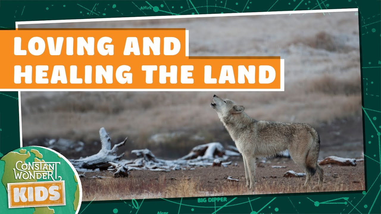 Loving and Healing the Land
