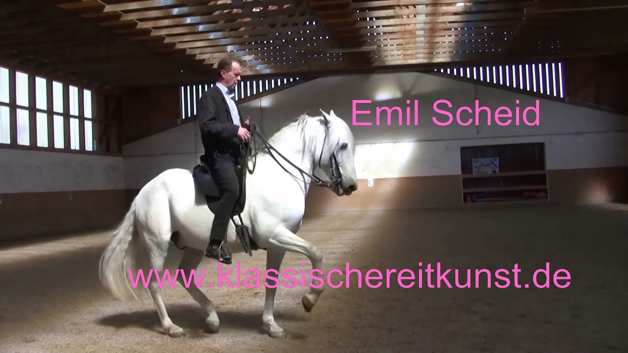 Piaffe Passage Training 1, Emil Scheid,  Klassische Reitkunst