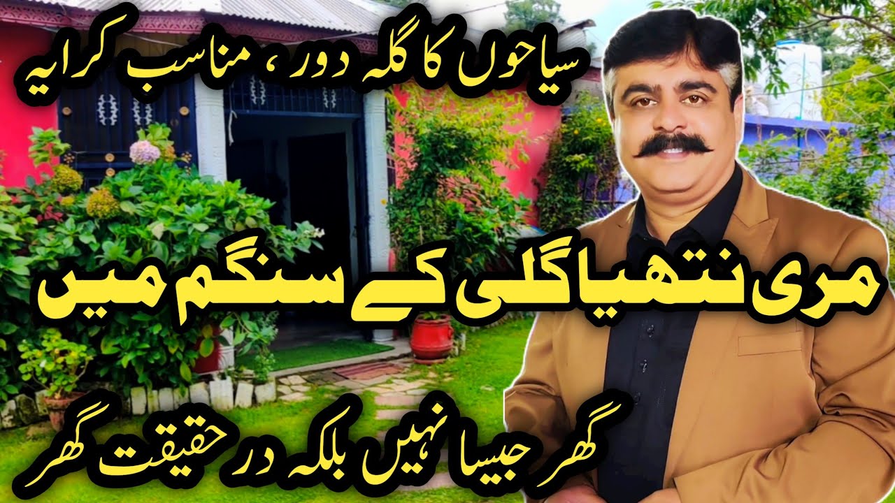 Murree live today | family hotel in murree nathia Gali | murree room rent 2024 | #murree guest house