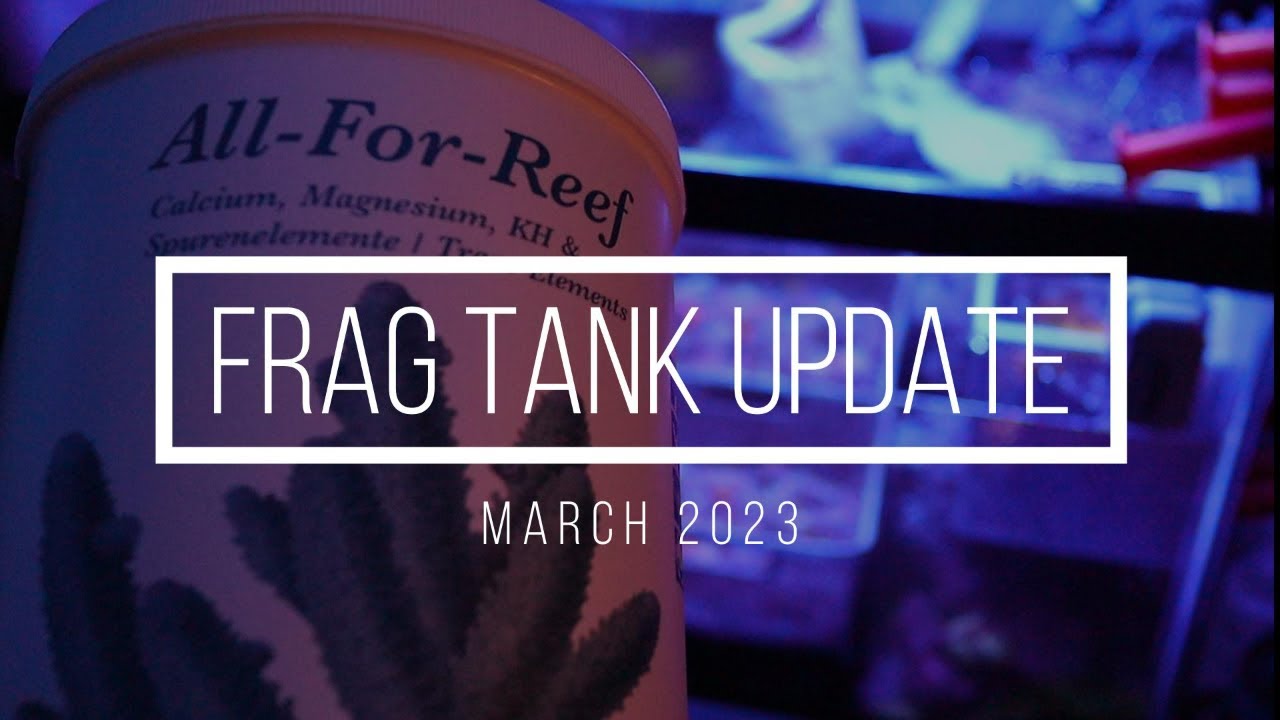New Update For The Frag Tank!