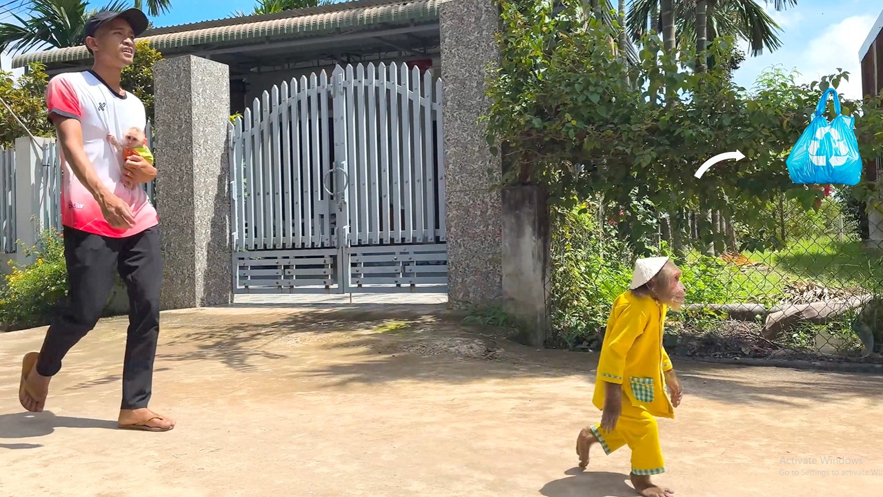 You’ll Laugh! CUTIS Realizes He Forgot Something After Leaving the Market and Asks Dad to Go Back