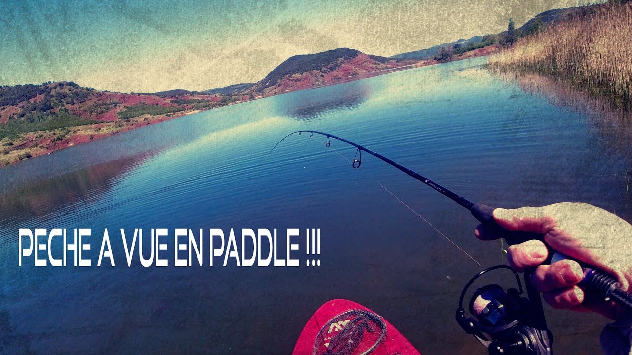 -salagou- pêche en paddle a vue: silures, gros rotengles et carpe !🚨💪💪
