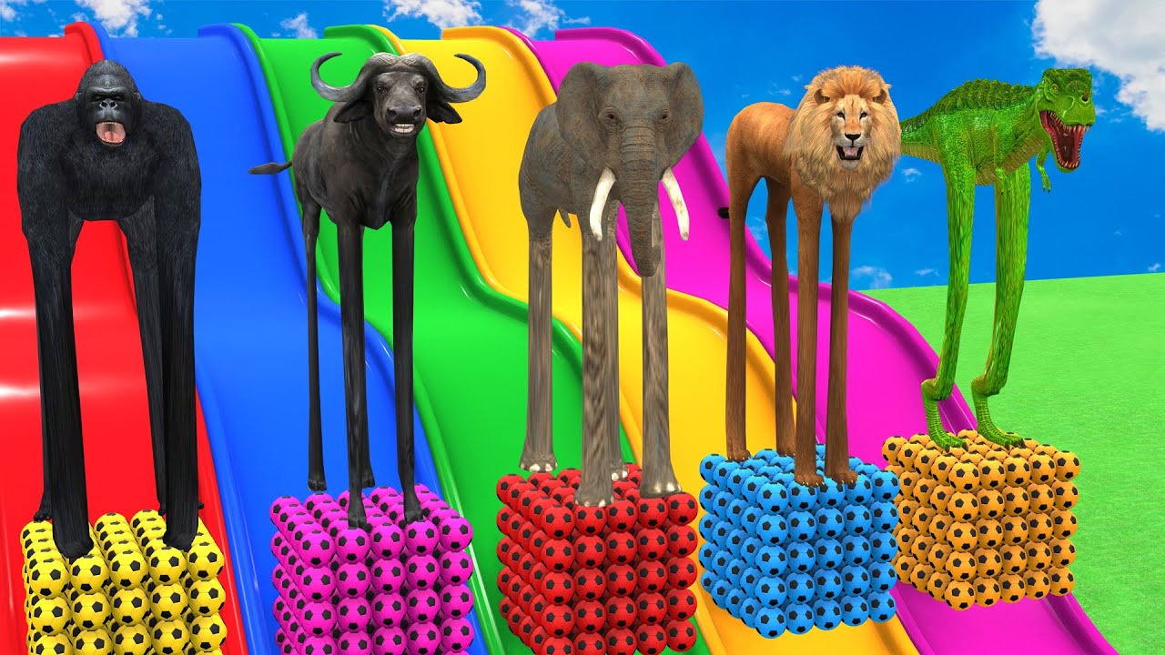 Max Level Long Legs Game Cow Bull Elephant Hippo Zebra Wild Animals 2024