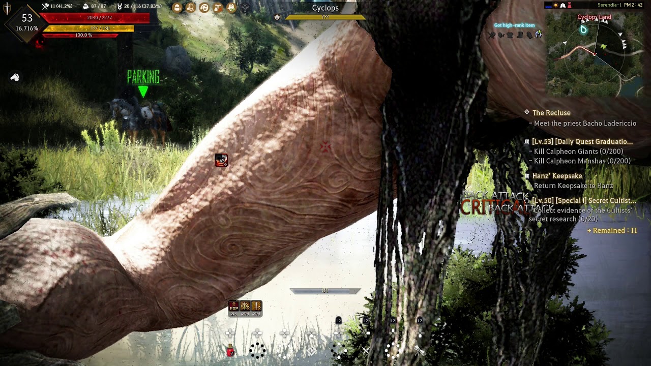 Black Desert - 