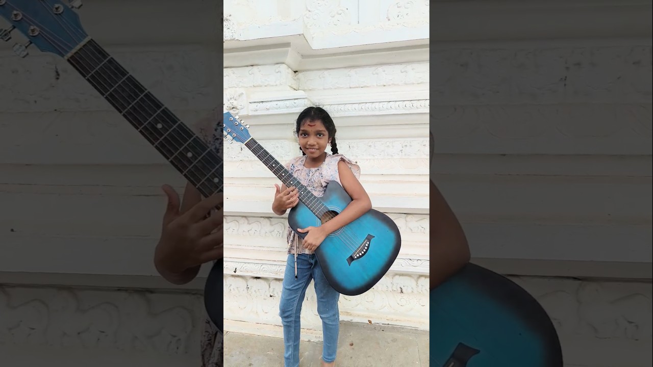 The Guitar || Stringed Musical Instrument  || Usually Fretted || Typically has Six or Twelve Strings