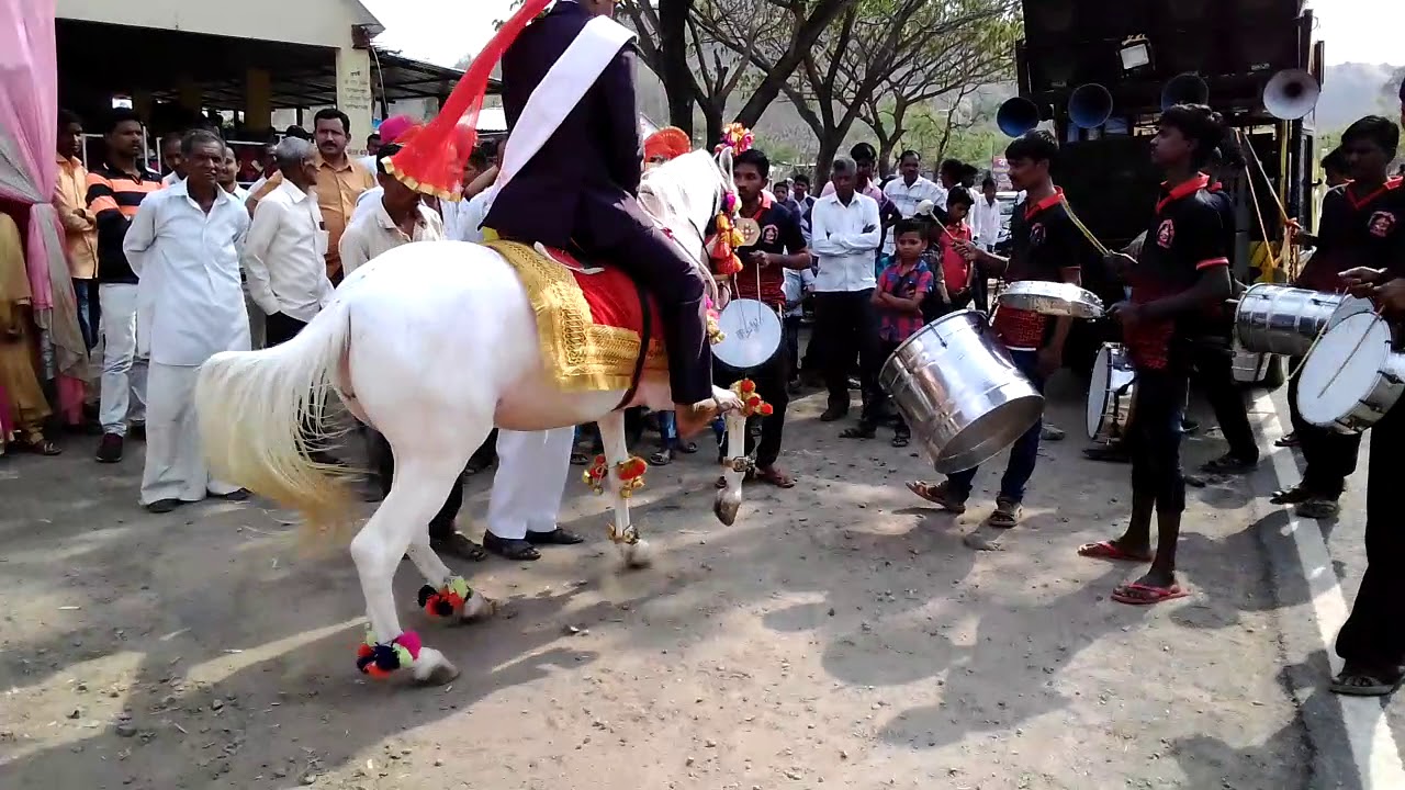 Raju desai horse urul.patan. satara mobile number 9763915237
