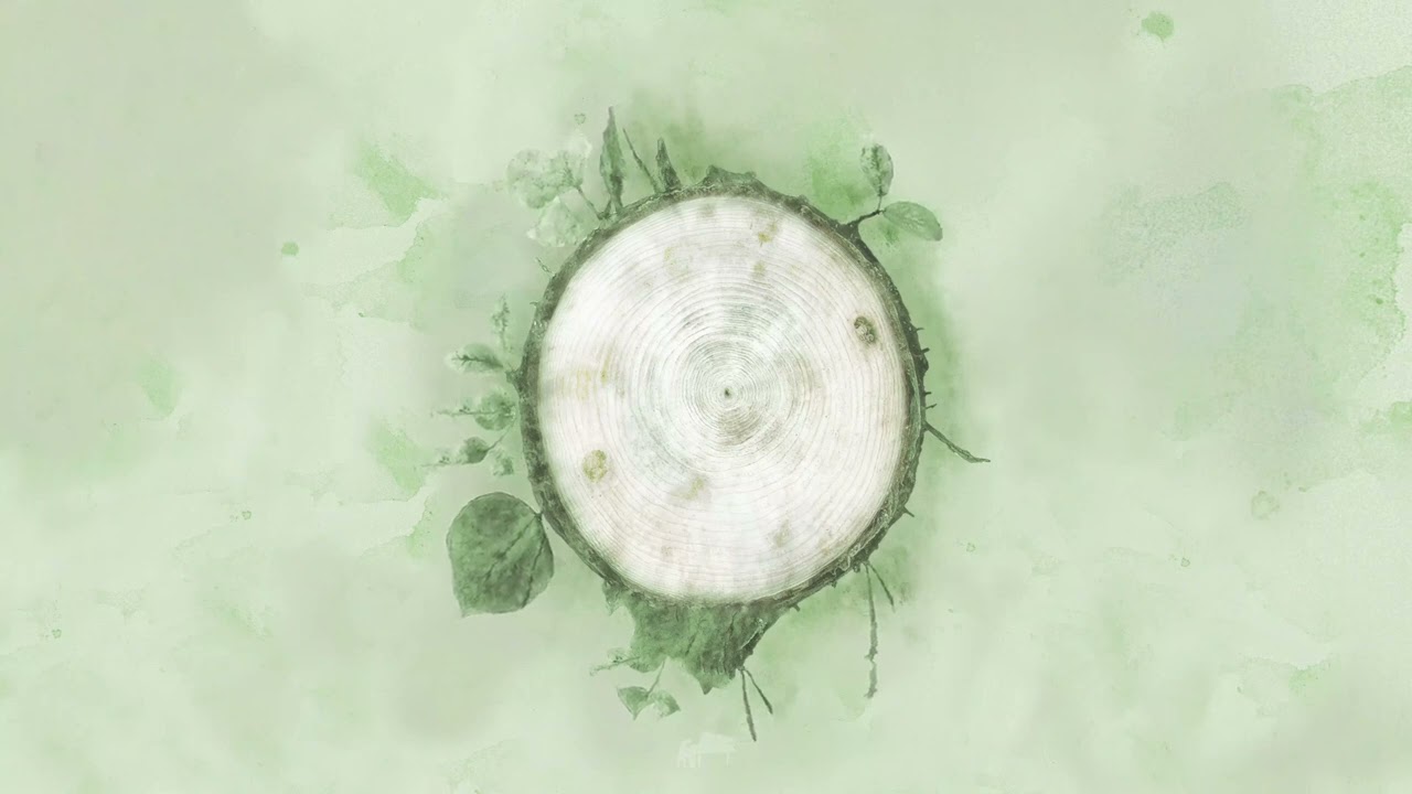 Andrea Vanzo - Rebirth (Official Visualizer)