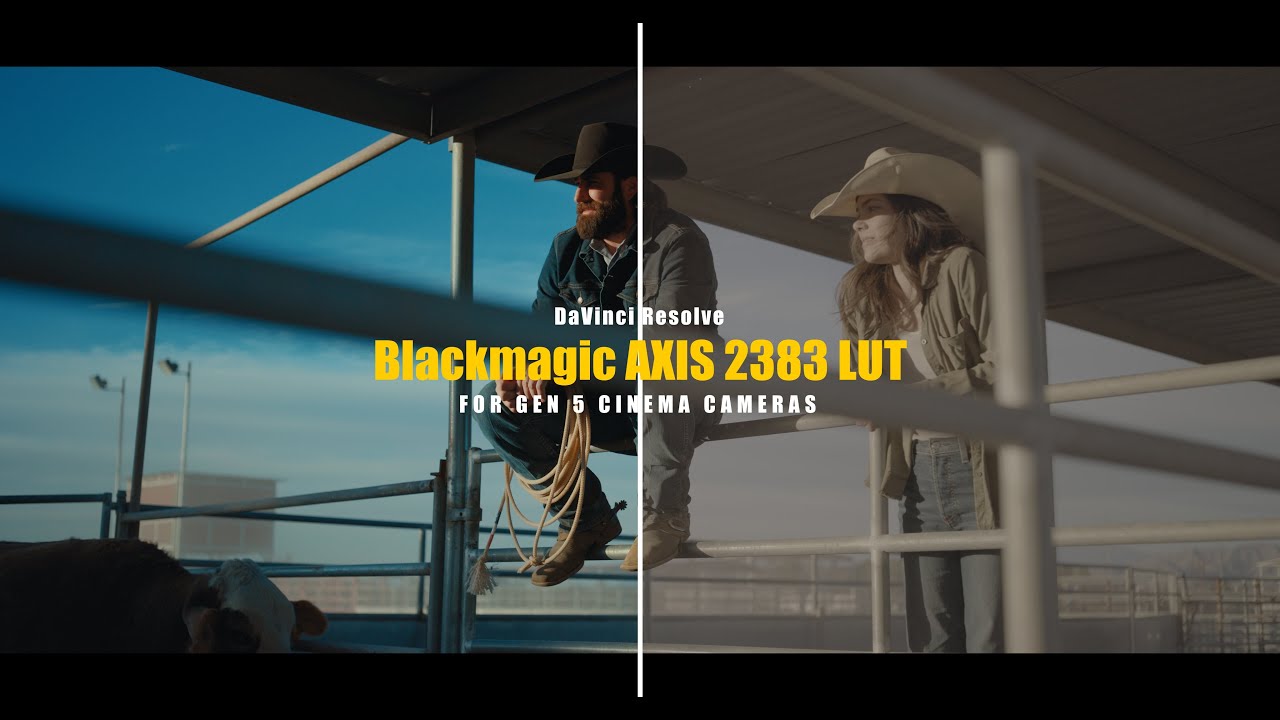 Blackmagic Axis 2383 Color Grade LUT for Gen 5 Cinema Cameras | DaVinci Resolve
