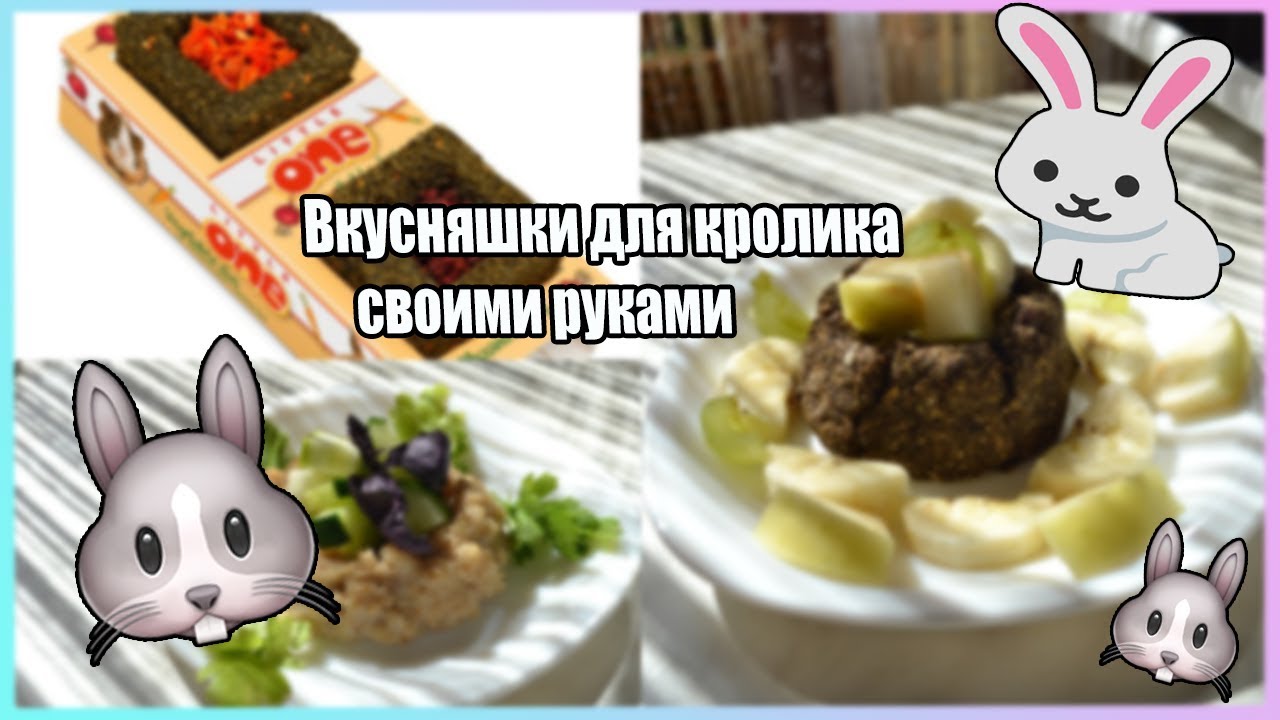 Вкусняшки для кролика своими руками/Как в зоомагазине?