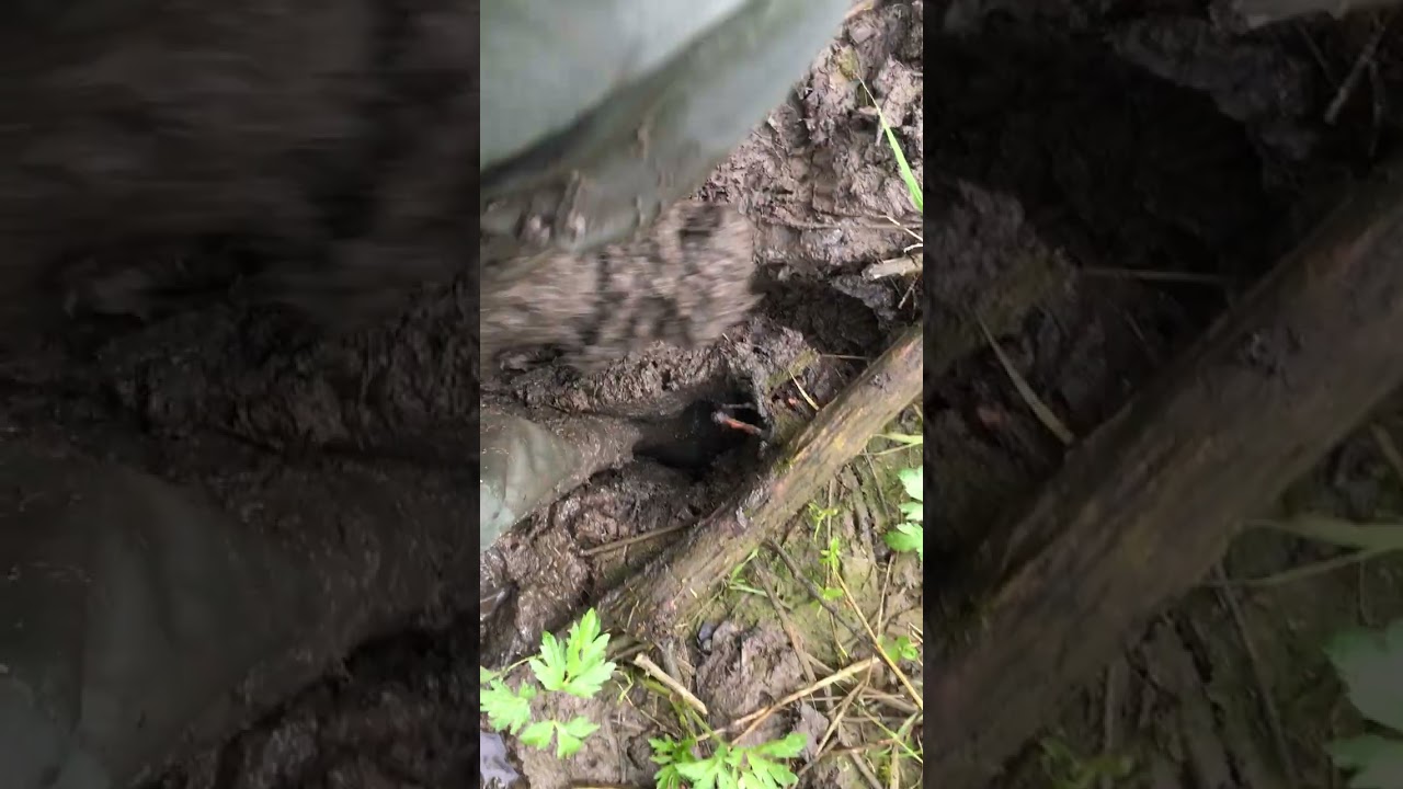 Rubber waders in mud