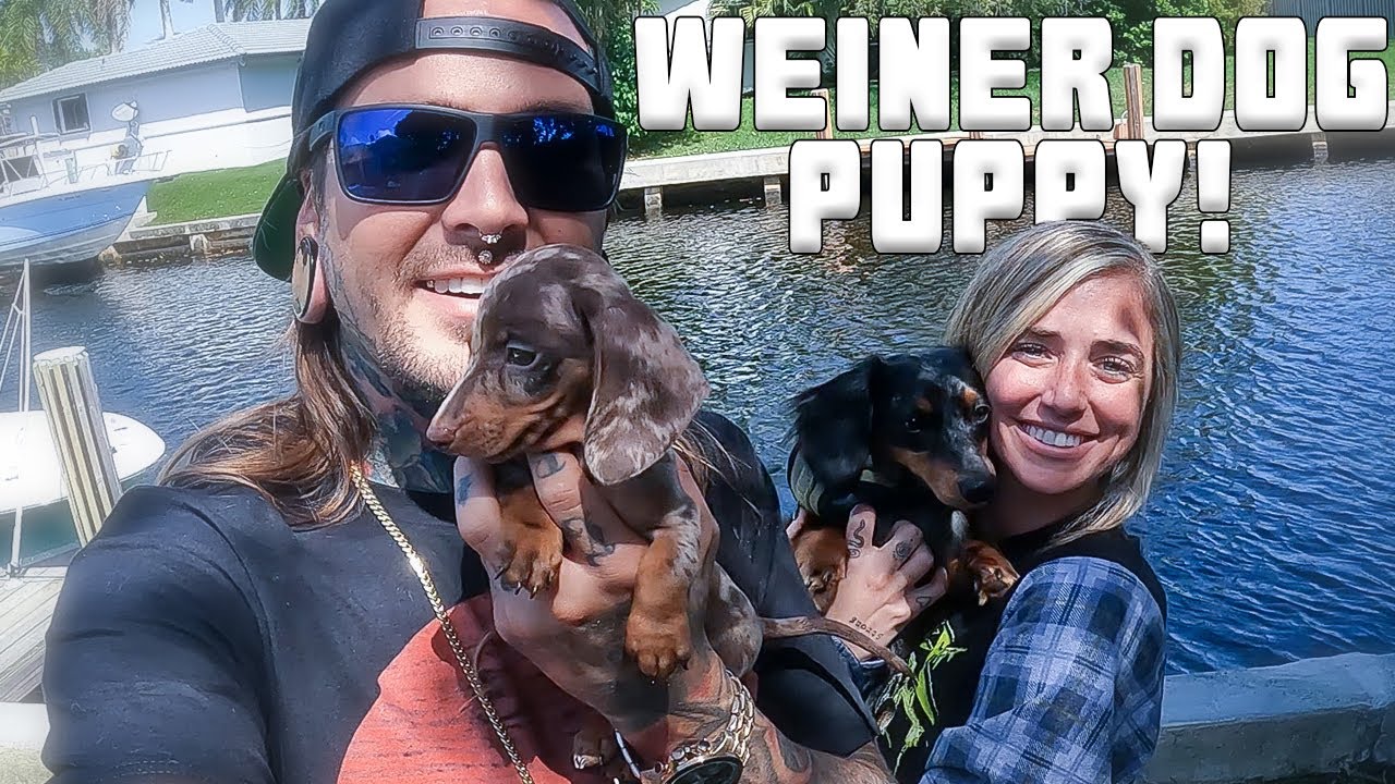 Bringing our DACHSHUND PUPPY Home! Little Travis 🤍