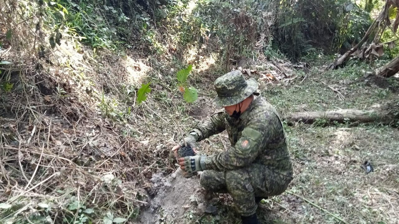 Tree planting to save the nature #foryou #military #reels #philippines #army #trending #teel