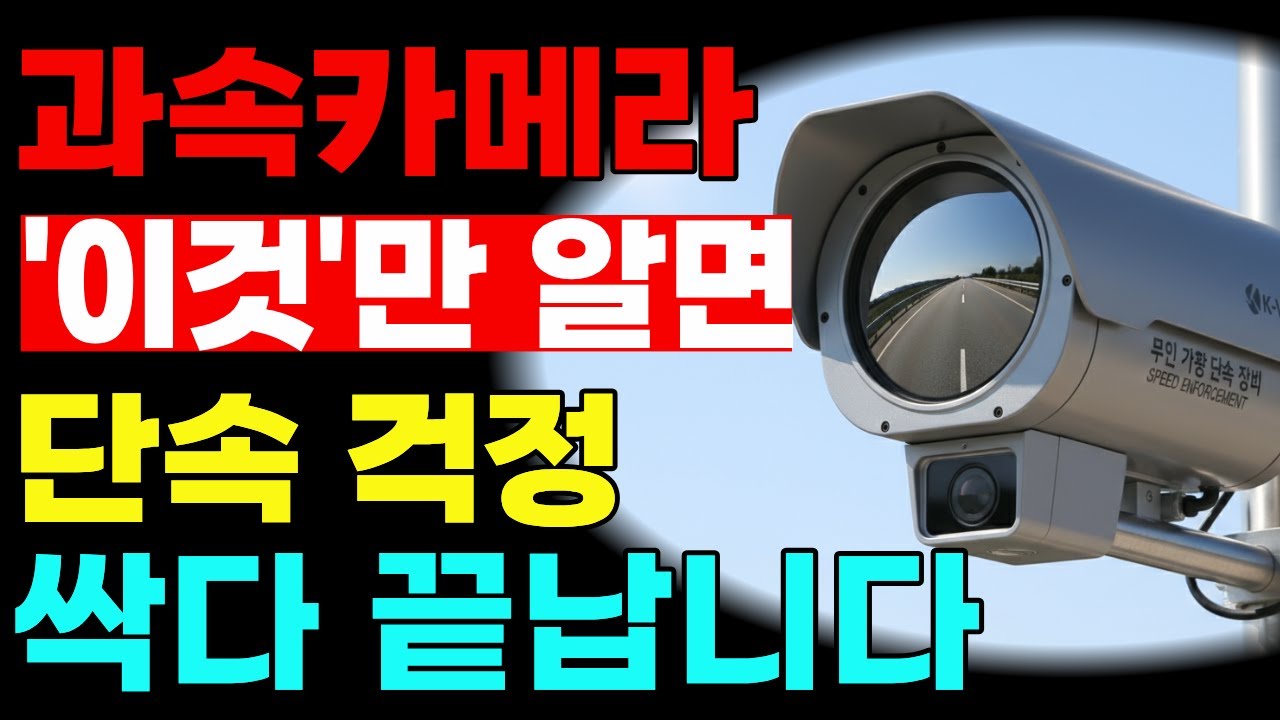 이것만 알면 신호단속 절대 안 걸립니다! 억울하게 당하지 않는 단속기준과 확인 방법 완벽정리