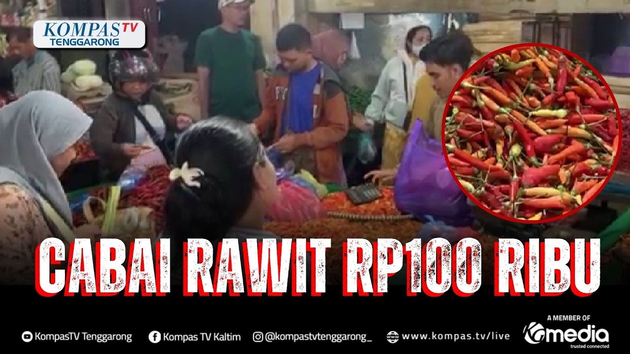 Harga Cabai Rawit Tembus Rp 100 ribu per KG