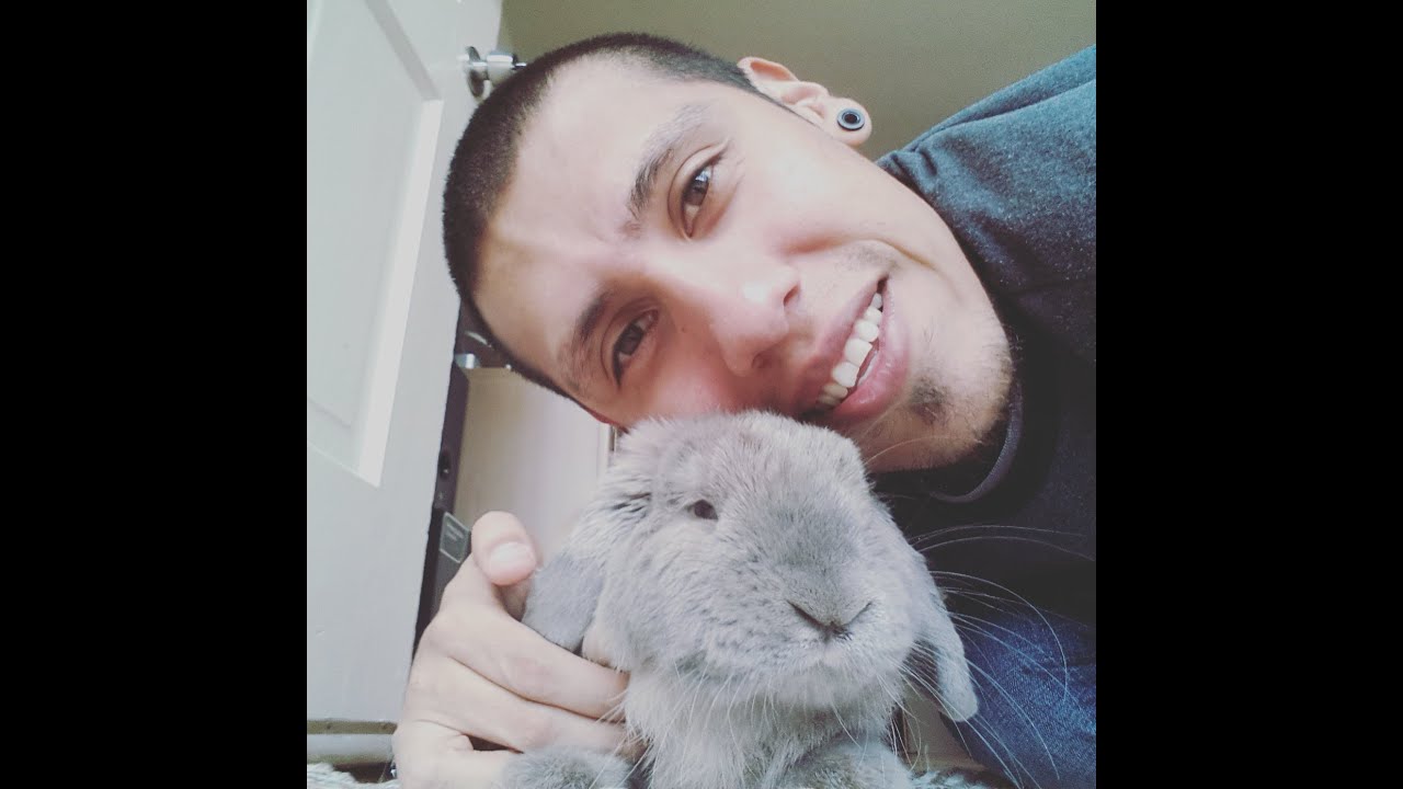 TOBY THE BUNNY