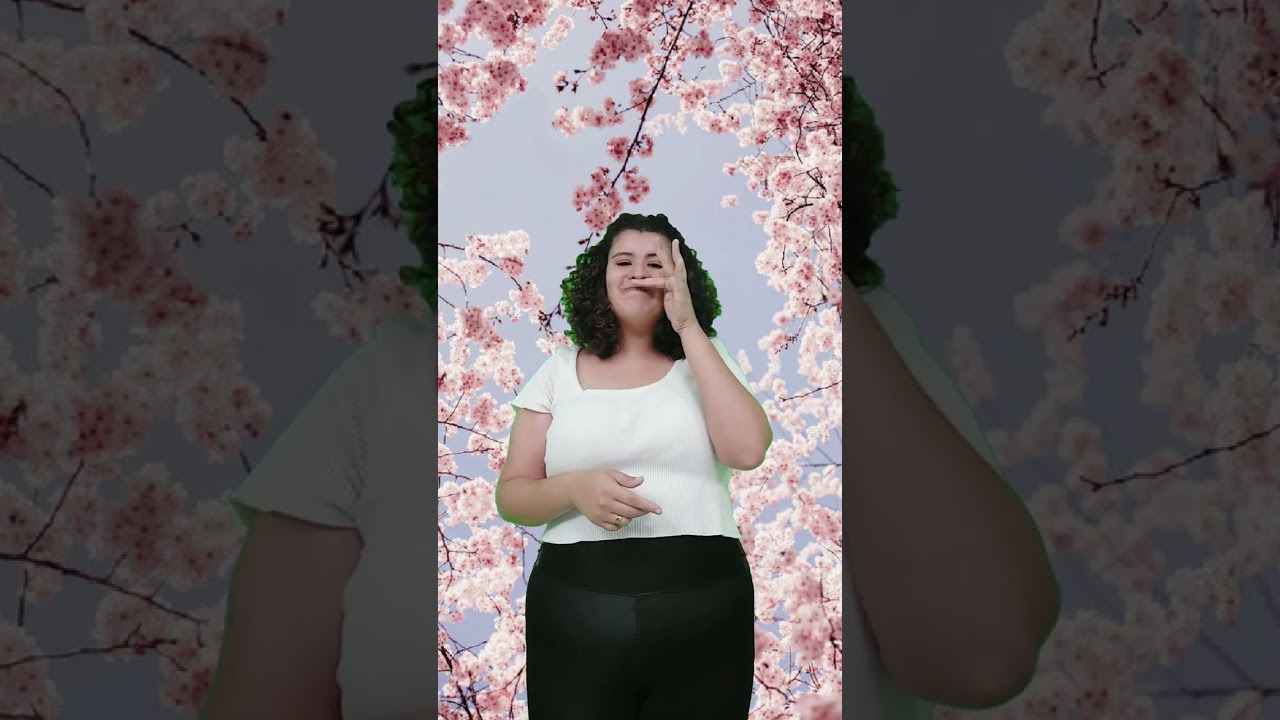 Trabalho de Libras na Educação Infantil- A linda Rosa Juvenil