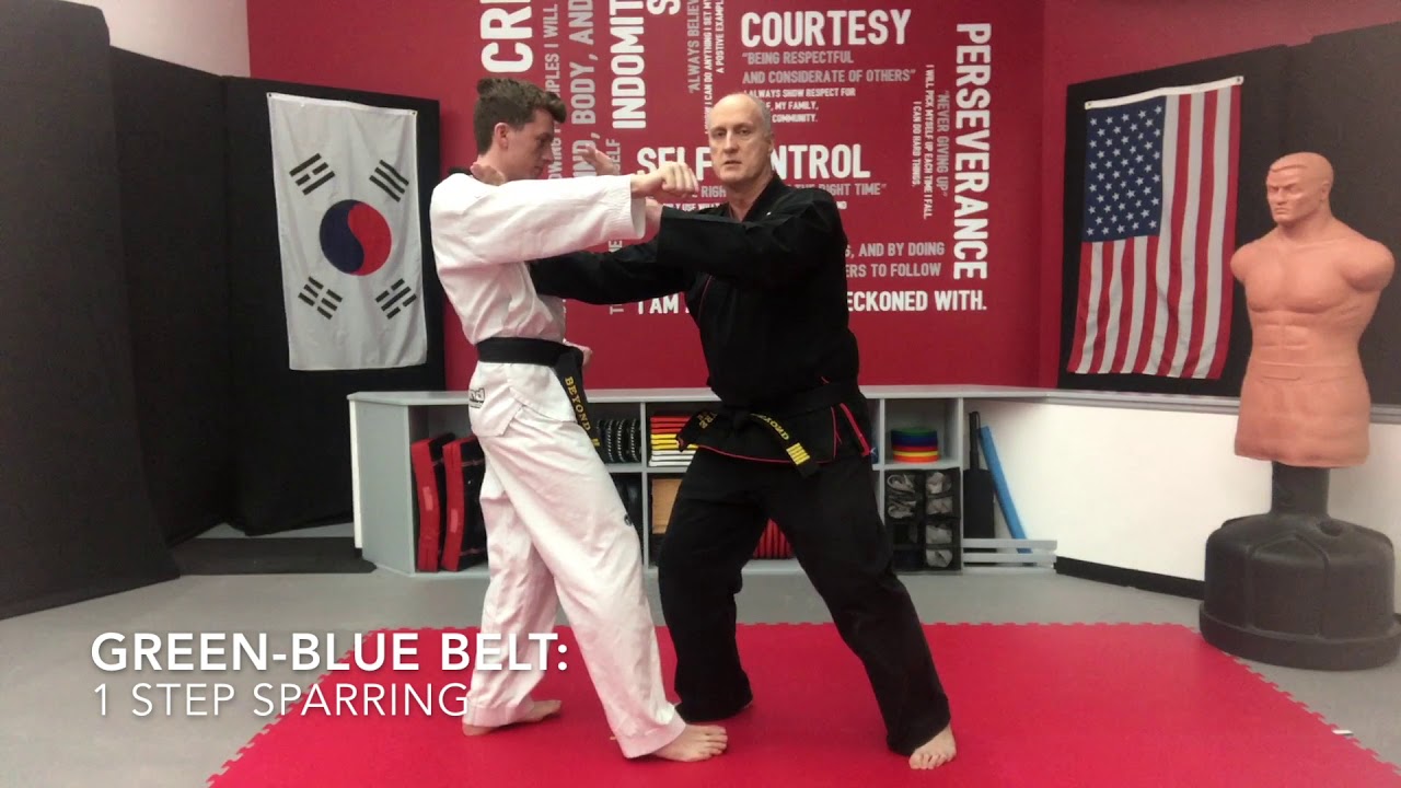 Techniques - Green Blue Belt: 1 Step Sparring