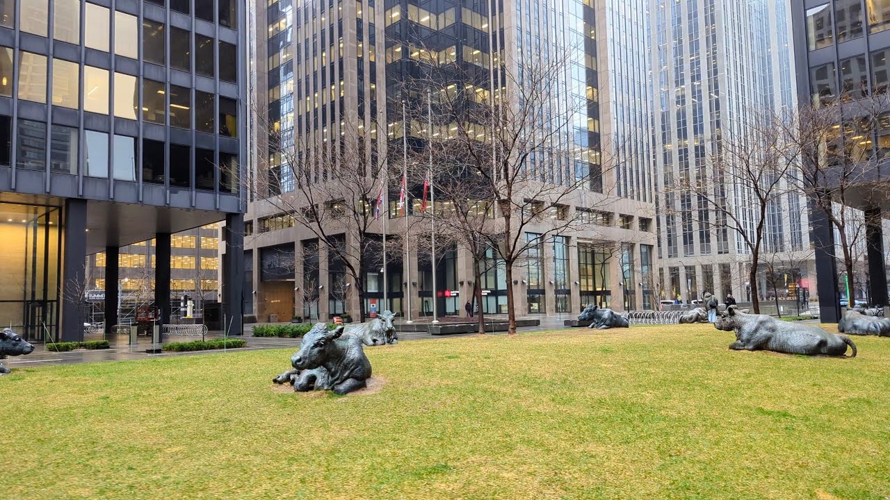 Financial District, Toronto. December 28/2023