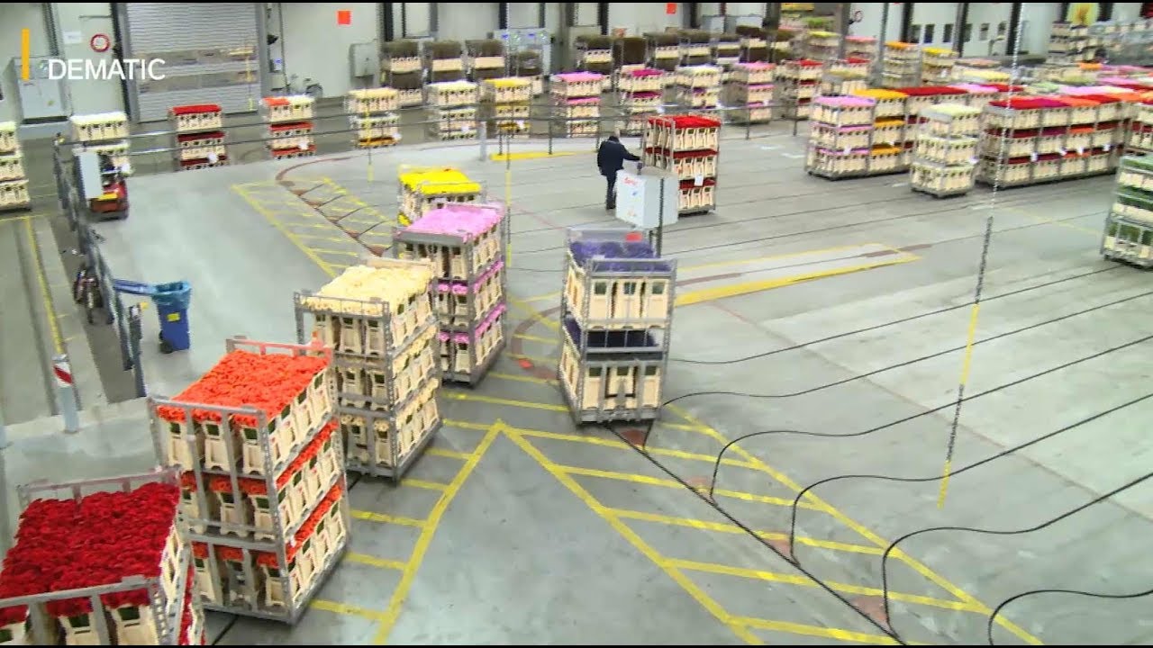 Dematic FloraHolland