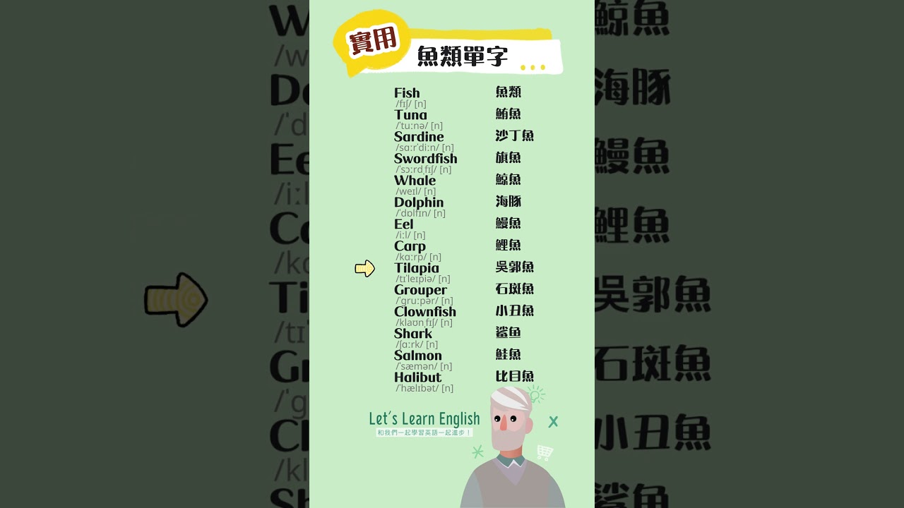 《魚類單字》一起背更好記！#英語單字 #英語學習 #英語跟讀 #英文聽力 #英文单词 #學英文